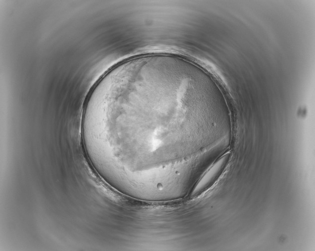 X0000093611228200711051212