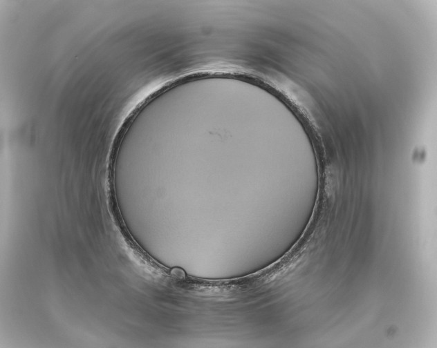 X0000093611229200711051212