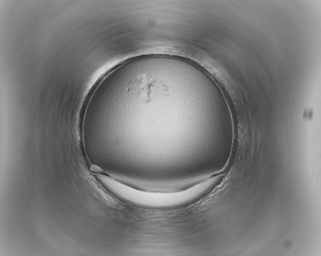 X0000093611230200711051212