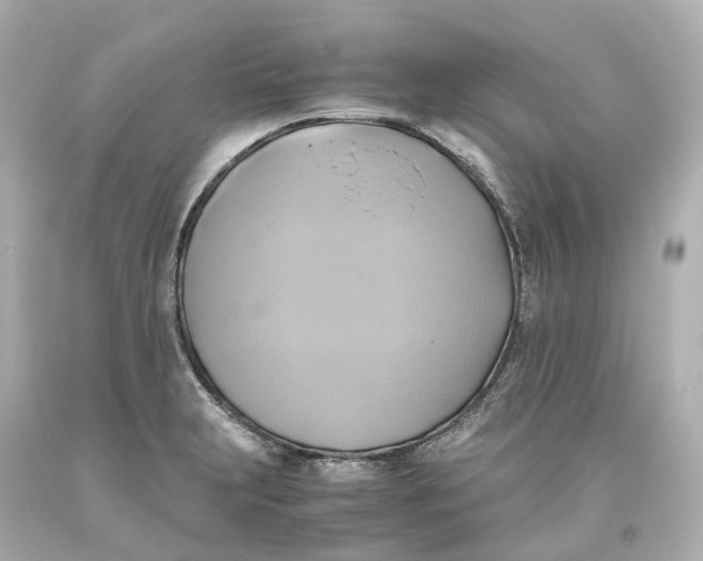 X0000093611231200711051212