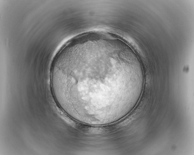 X0000093611232200711051212