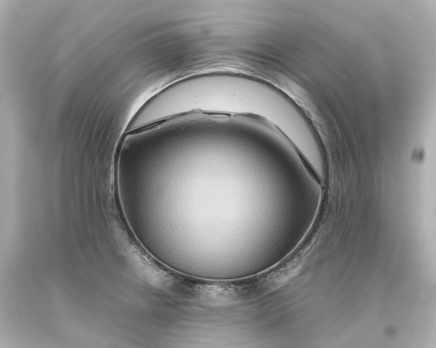 X0000093611234200711051212