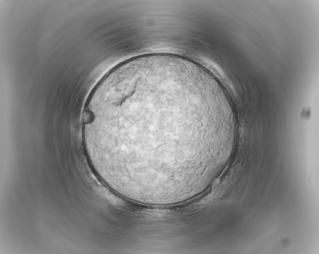 X0000093611236200711051212