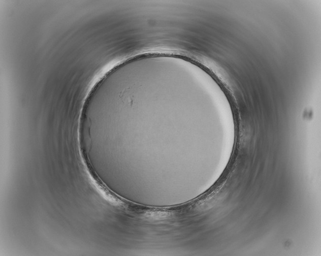 X0000093611237200711051212