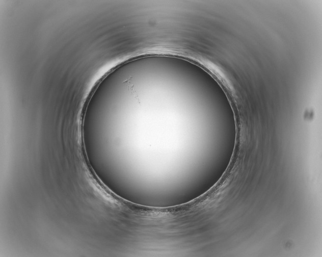 X0000093611238200711051212