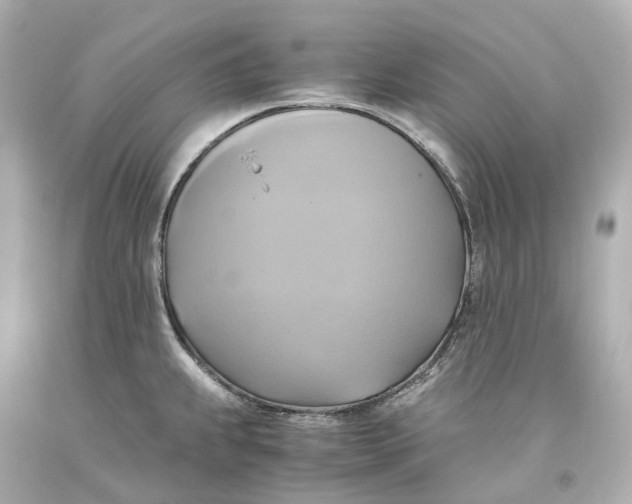 X0000093611239200711051212
