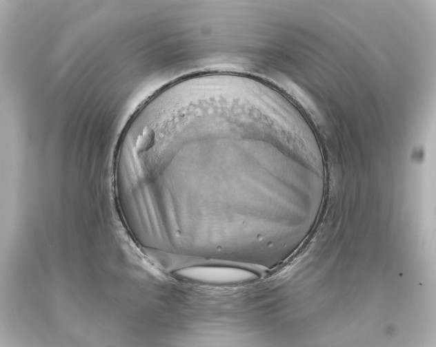 X0000093611240200711051212