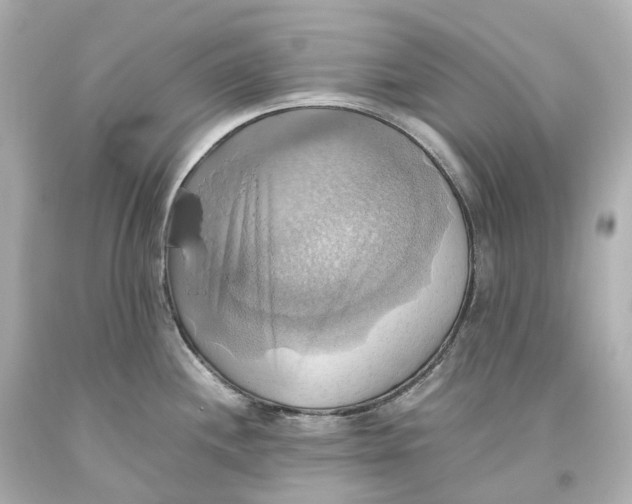 X0000093611244200711051212