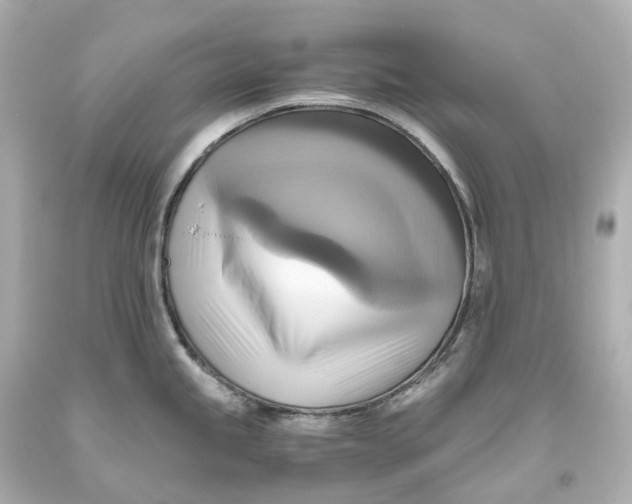 X0000093611245200711051213