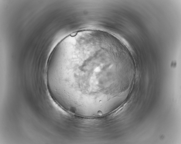 X0000093611247200711051213
