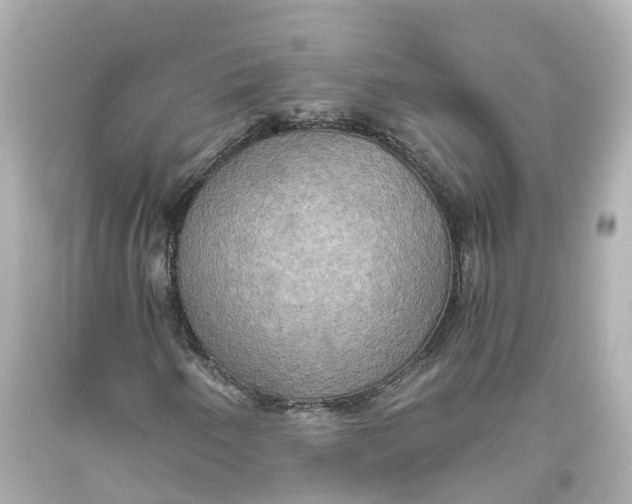X0000093611250200711051212