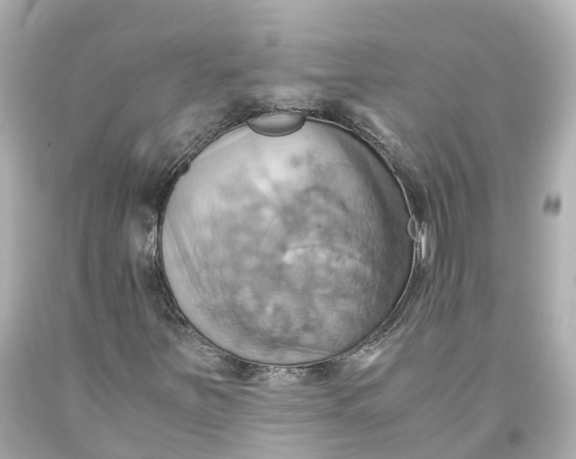 X0000093611251200711051212