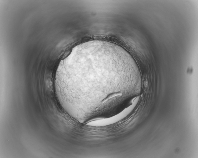 X0000093611252200711051212
