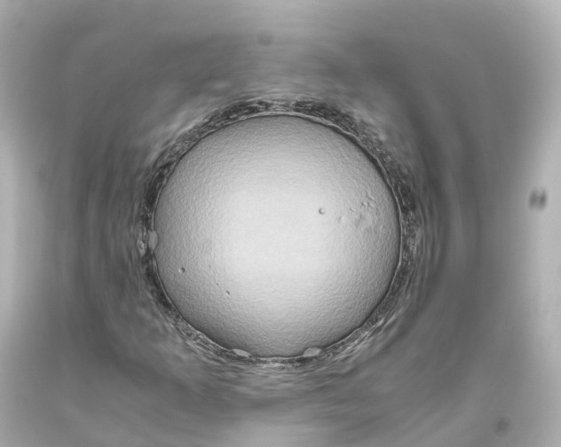 X0000093611253200711051212