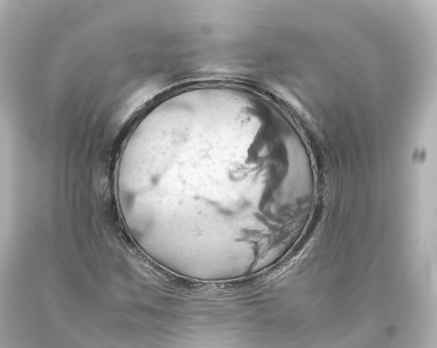 X0000093611259200711051212