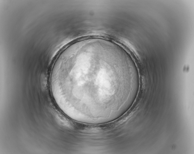 X0000093611260200711051212