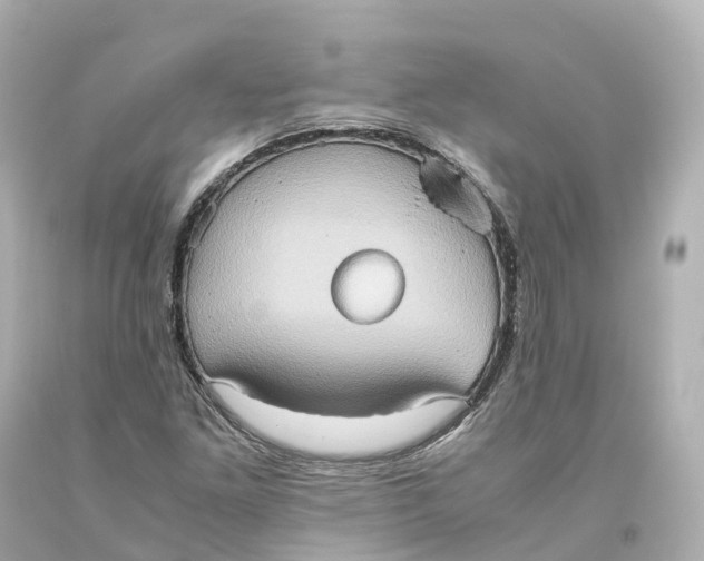X0000093611261200711051212