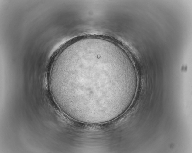 X0000093611262200711051212