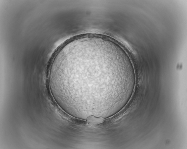 X0000093611264200711051212