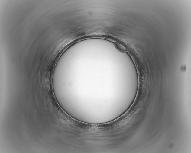 X0000093611265200711051212