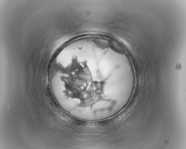 X0000093611267200711051212