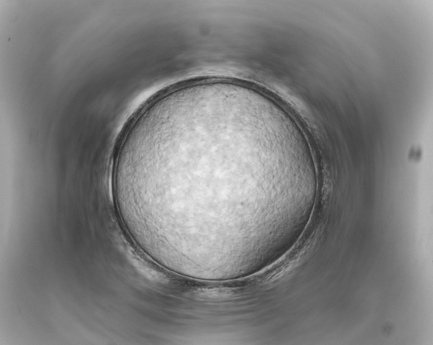 X0000093611272200711051212
