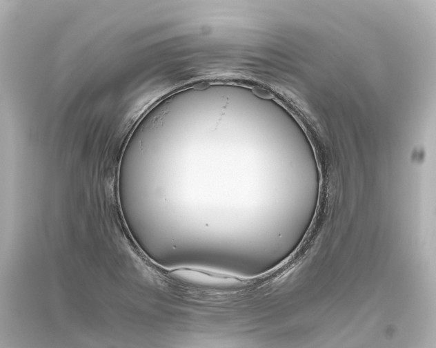 X0000093611273200711051212