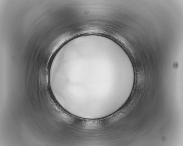 X0000093611274200711051212