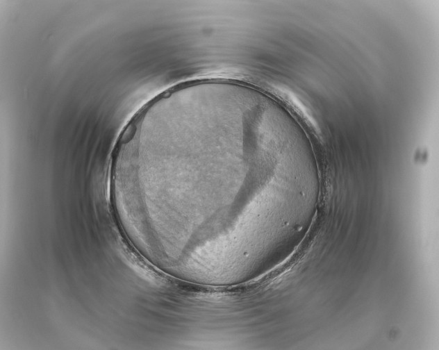 X0000093611276200711051212