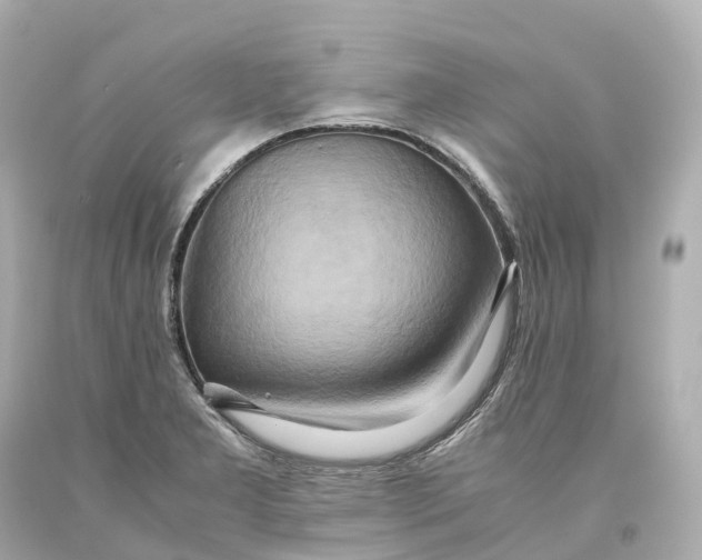 X0000093611277200711051212