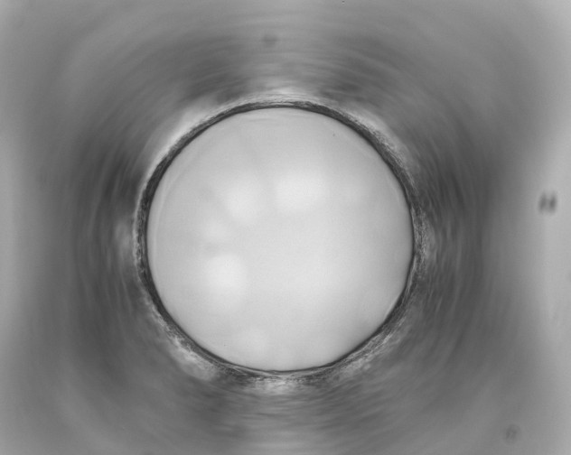 X0000093611278200711051212