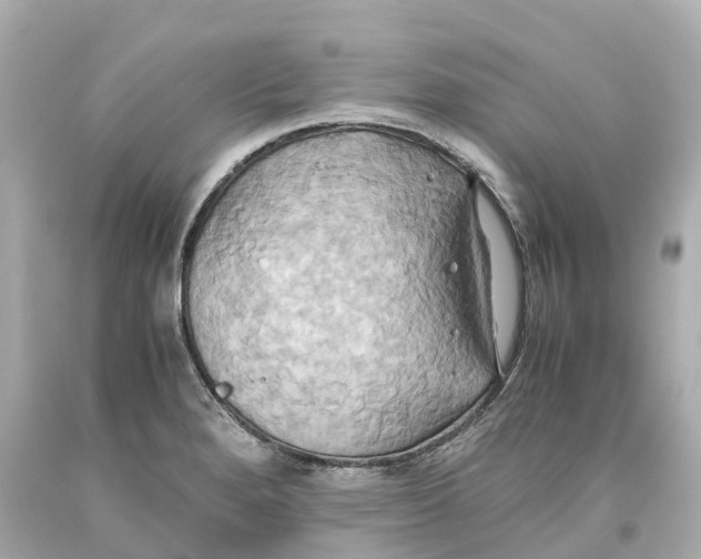 X0000093611280200711051212
