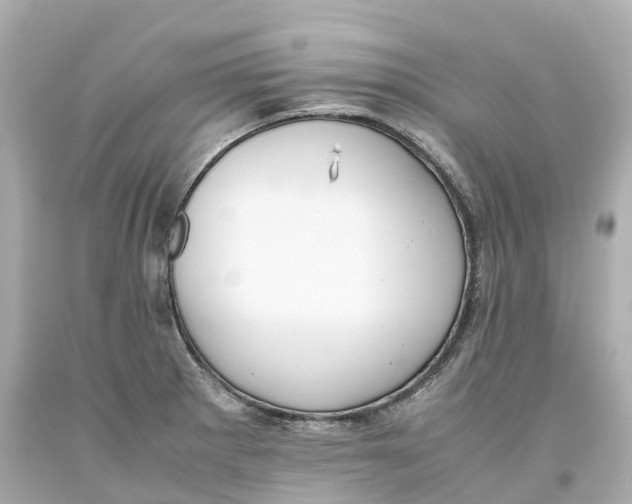 X0000093611281200711051212
