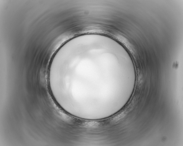 X0000093611282200711051212