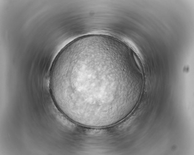 X0000093611284200711051211