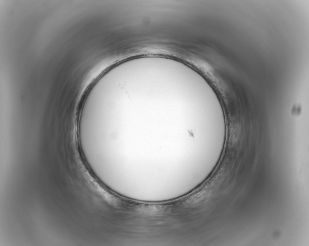X0000093611286200711051211