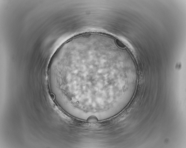 X0000093611287200711051211