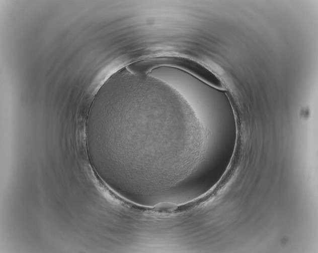 X0000093611289200711051211