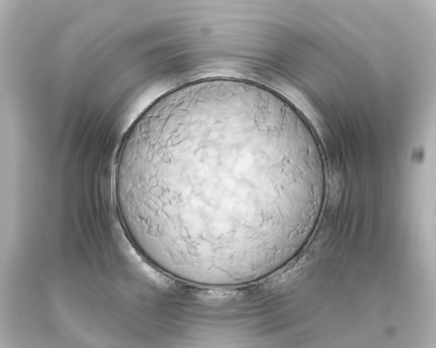 X0000093611290200711051211