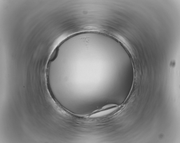 X0000093611291200711051211