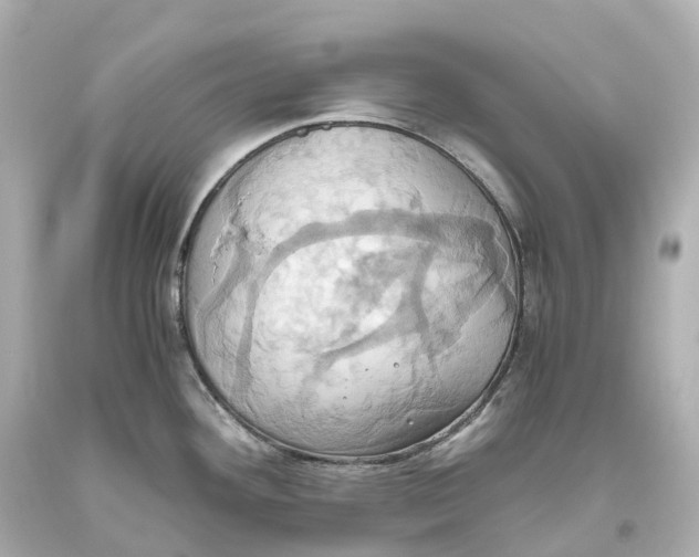 X0000093611292200711051211