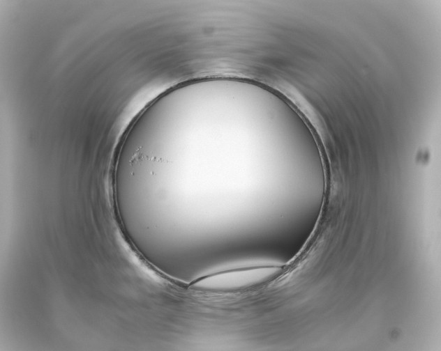 X0000093611293200711051211
