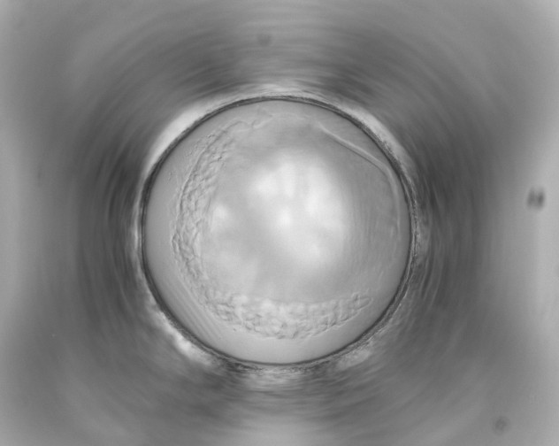 X0000093611294200711051211