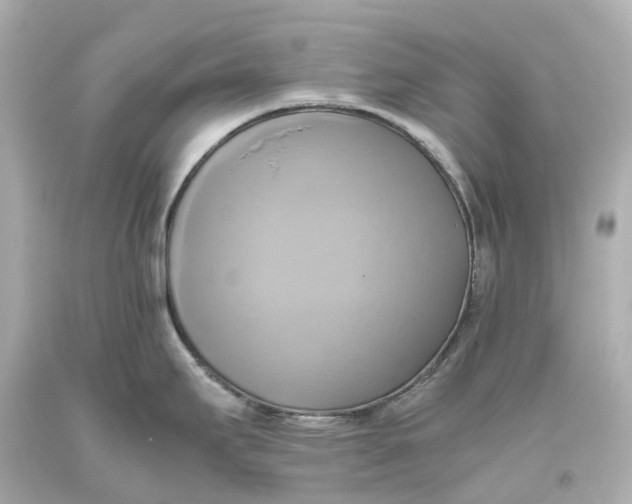 X0000093611295200711051211