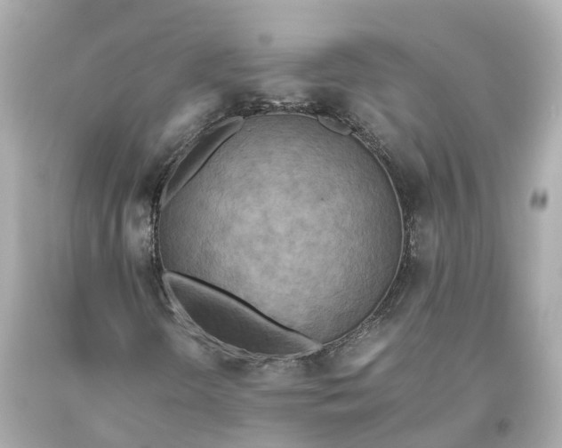 X0000093611298200711051211
