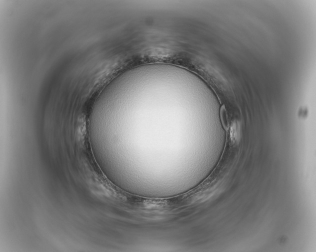 X0000093611299200711051211