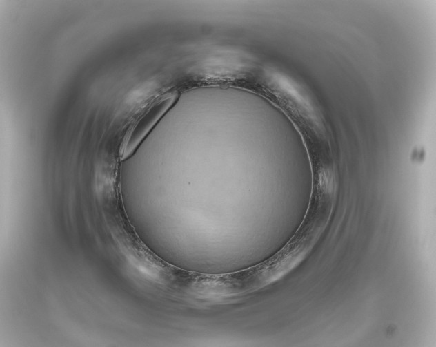 X0000093611300200711051211