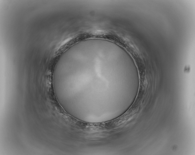 X0000093611301200711051211