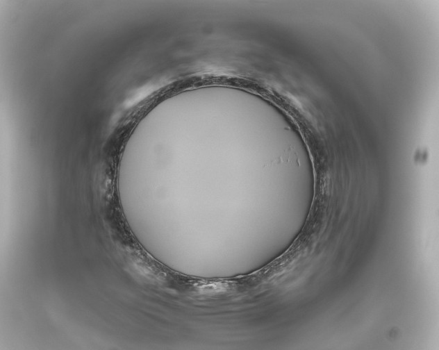 X0000093611303200711051211