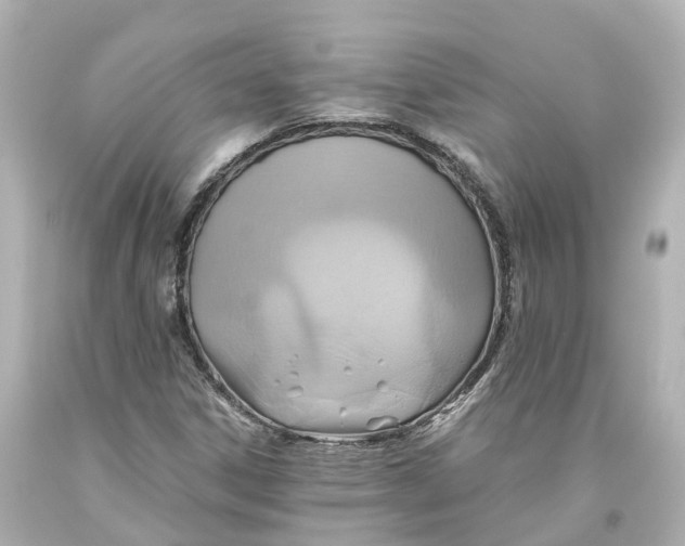 X0000093611306200711051211
